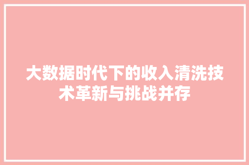 大数据时代下的收入清洗技术革新与挑战并存