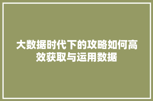 大数据时代下的攻略如何高效获取与运用数据