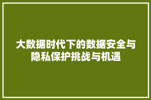 大数据时代下的数据安全与隐私保护挑战与机遇