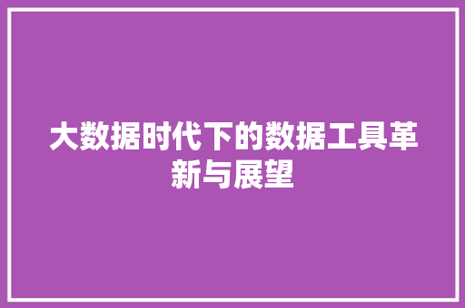 大数据时代下的数据工具革新与展望