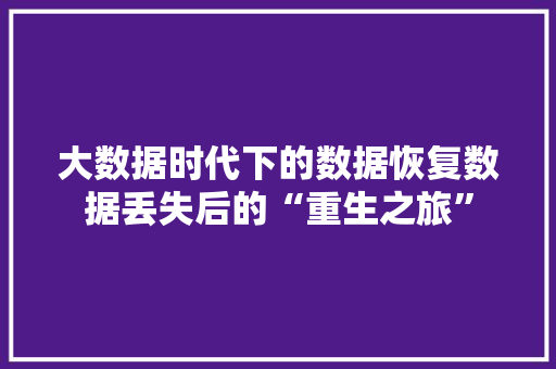 大数据时代下的数据恢复数据丢失后的“重生之旅”