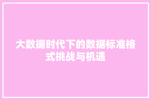 大数据时代下的数据标准格式挑战与机遇