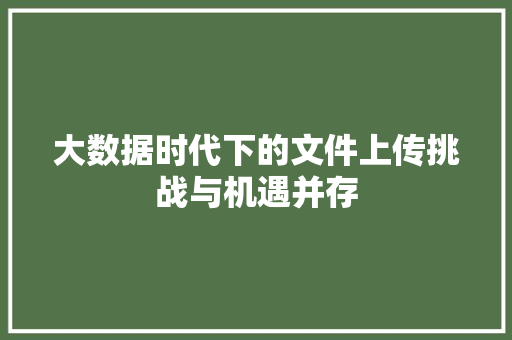 大数据时代下的文件上传挑战与机遇并存