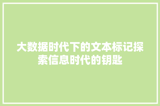 大数据时代下的文本标记探索信息时代的钥匙