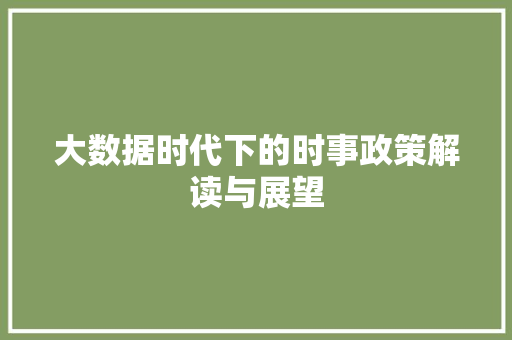 大数据时代下的时事政策解读与展望
