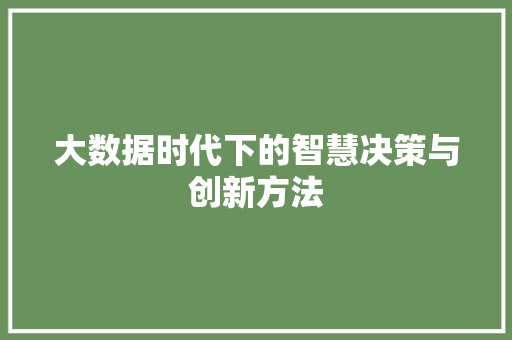 大数据时代下的智慧决策与创新方法 电脑基础