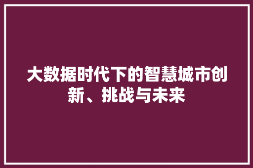 大数据时代下的智慧城市创新、挑战与未来