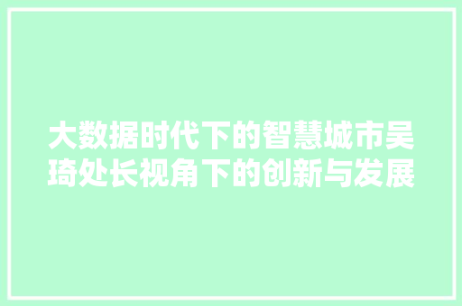 大数据时代下的智慧城市吴琦处长视角下的创新与发展 编程语言