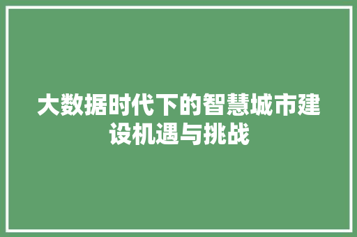 大数据时代下的智慧城市建设机遇与挑战