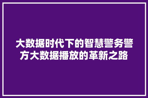 大数据时代下的智慧警务警方大数据播放的革新之路