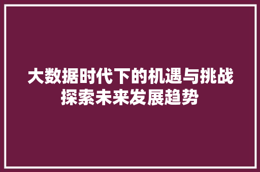大数据时代下的机遇与挑战探索未来发展趋势
