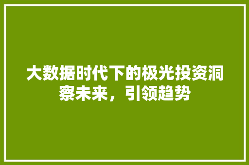 大数据时代下的极光投资洞察未来，引领趋势
