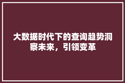 大数据时代下的查询趋势洞察未来，引领变革