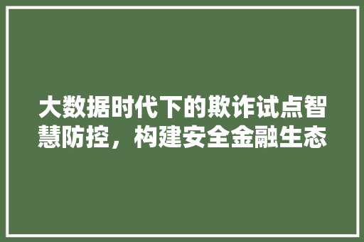 大数据时代下的欺诈试点智慧防控，构建安全金融生态