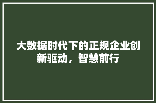 大数据时代下的正规企业创新驱动，智慧前行