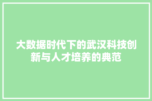 大数据时代下的武汉科技创新与人才培养的典范