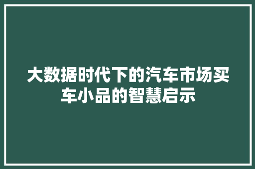 大数据时代下的汽车市场买车小品的智慧启示 电脑配置