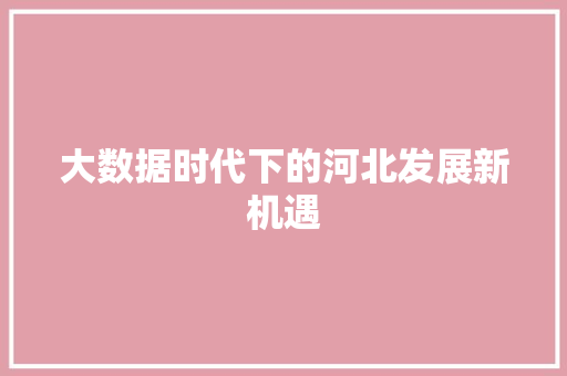 大数据时代下的河北发展新机遇 电脑配置