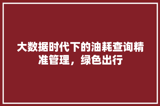 大数据时代下的油耗查询精准管理，绿色出行