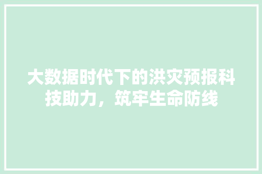大数据时代下的洪灾预报科技助力，筑牢生命防线 操作系统