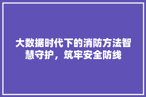 大数据时代下的消防方法智慧守护，筑牢安全防线
