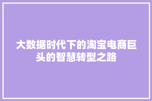 大数据时代下的淘宝电商巨头的智慧转型之路 大数据时代下的淘宝电商巨头的智慧转型之路