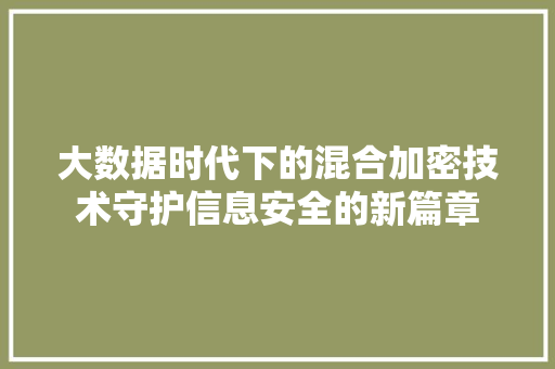 大数据时代下的混合加密技术守护信息安全的新篇章 大数据时代下的混合加密技术守护信息安全的新篇章