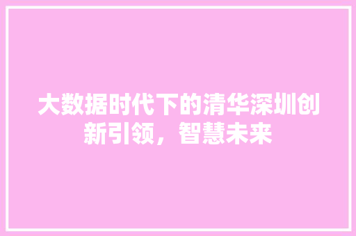 大数据时代下的清华深圳创新引领,智慧未来 操作系统 大数据时代下的清华深圳创新引领,智慧未来 操作系统
