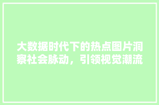大数据时代下的热点图片洞察社会脉动，引领视觉潮流 操作系统