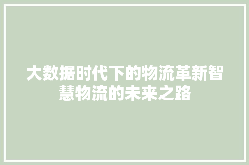 大数据时代下的物流革新智慧物流的未来之路