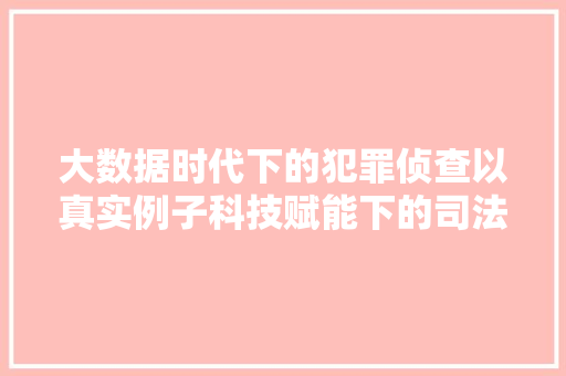 大数据时代下的犯罪侦查以真实例子科技赋能下的司法方法