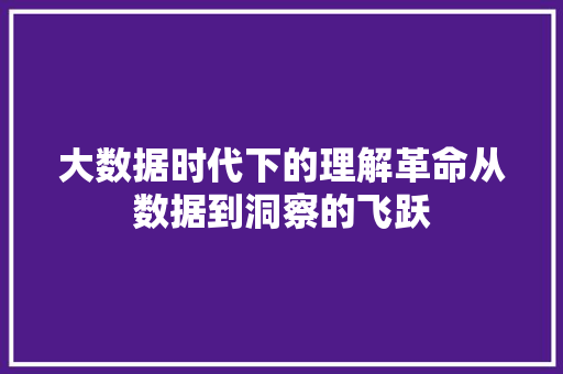 大数据时代下的理解革命从数据到洞察的飞跃