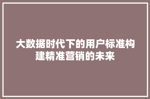 大数据时代下的用户标准构建精准营销的未来