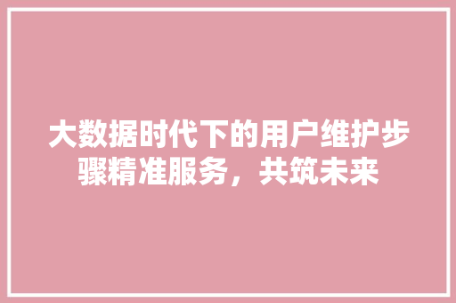 大数据时代下的用户维护步骤精准服务，共筑未来