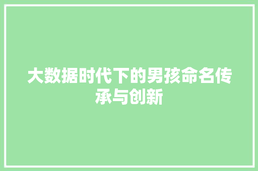 大数据时代下的男孩命名传承与创新