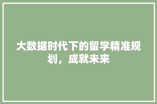 大数据时代下的留学精准规划，成就未来