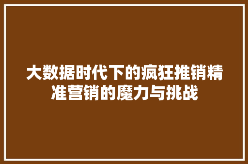 大数据时代下的疯狂推销精准营销的魔力与挑战 网络技术