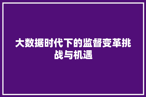 大数据时代下的监督变革挑战与机遇