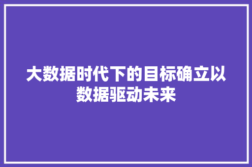 大数据时代下的目标确立以数据驱动未来