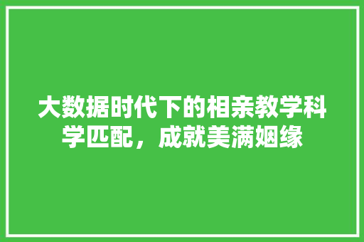 大数据时代下的相亲教学科学匹配，成就美满姻缘