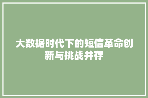 大数据时代下的短信革命创新与挑战并存 网络技术