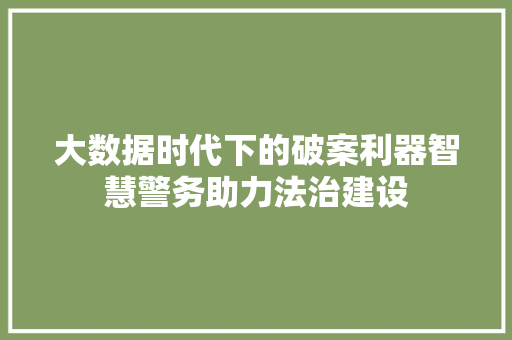 大数据时代下的破案利器智慧警务助力法治建设 电脑故障维修