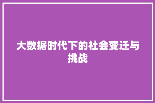 大数据时代下的社会变迁与挑战