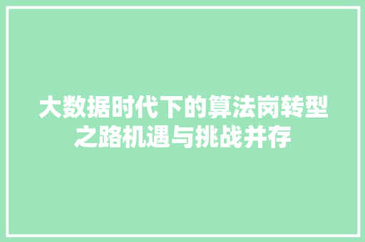 大数据时代下的算法岗转型之路机遇与挑战并存