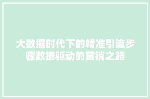 大数据时代下的精准引流步骤数据驱动的营销之路 大数据时代下的精准引流步骤数据驱动的营销之路