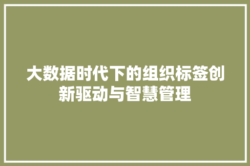 大数据时代下的组织标签创新驱动与智慧管理