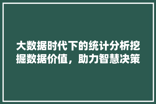大数据时代下的统计分析挖掘数据价值，助力智慧决策