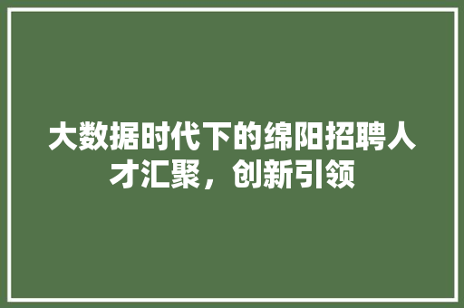 大数据时代下的绵阳招聘人才汇聚，创新引领 操作系统