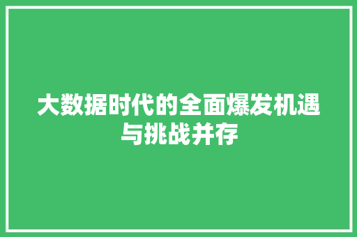 大数据时代的全面爆发机遇与挑战并存 大数据时代的全面爆发机遇与挑战并存