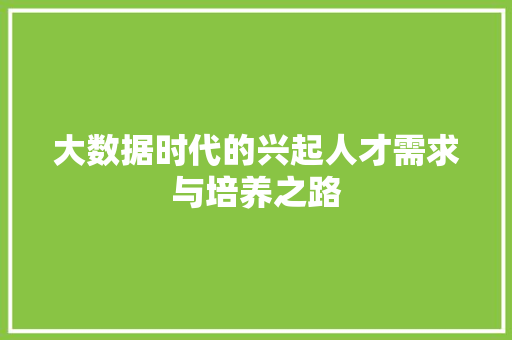 大数据时代的兴起人才需求与培养之路